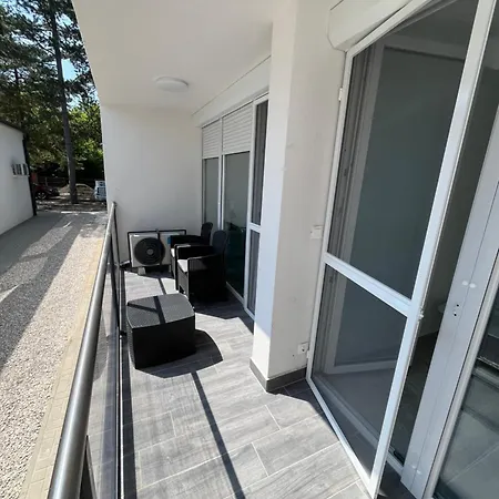 Sunday Rose Замарди