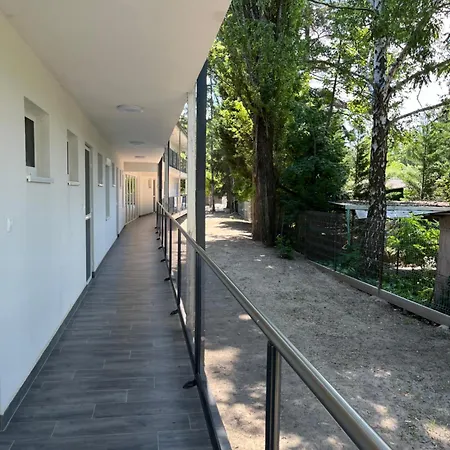 Апартаменты Sunday Rose *