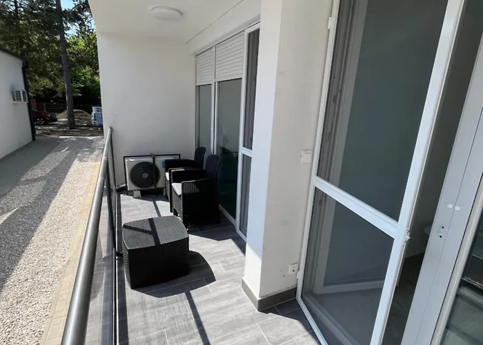 Sunday Rose 扎马迪